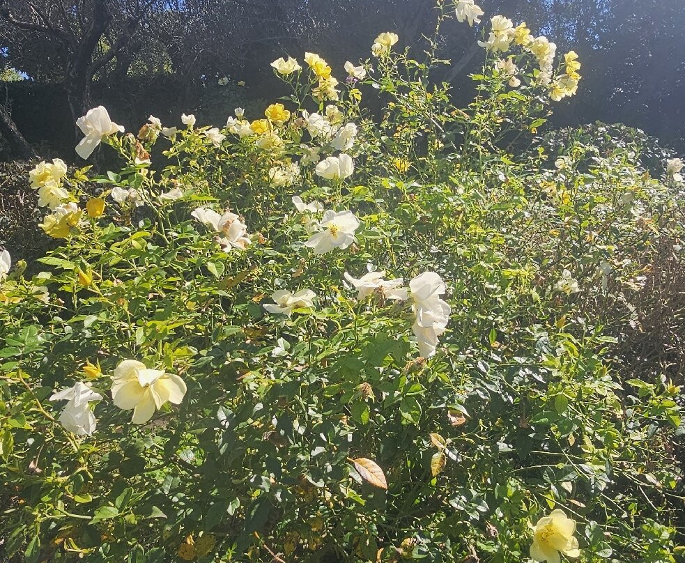 Giardini della Landriana-Tor San Lorenzo必去景点
