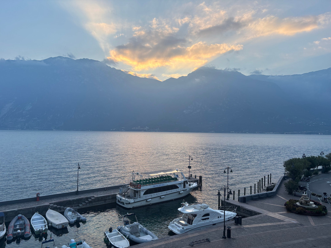 Airport Transfer Verona - Garda Lake - Private Driver - Luxury Limo Service NCC - Private Taxi-锡尔苗内必去景点
