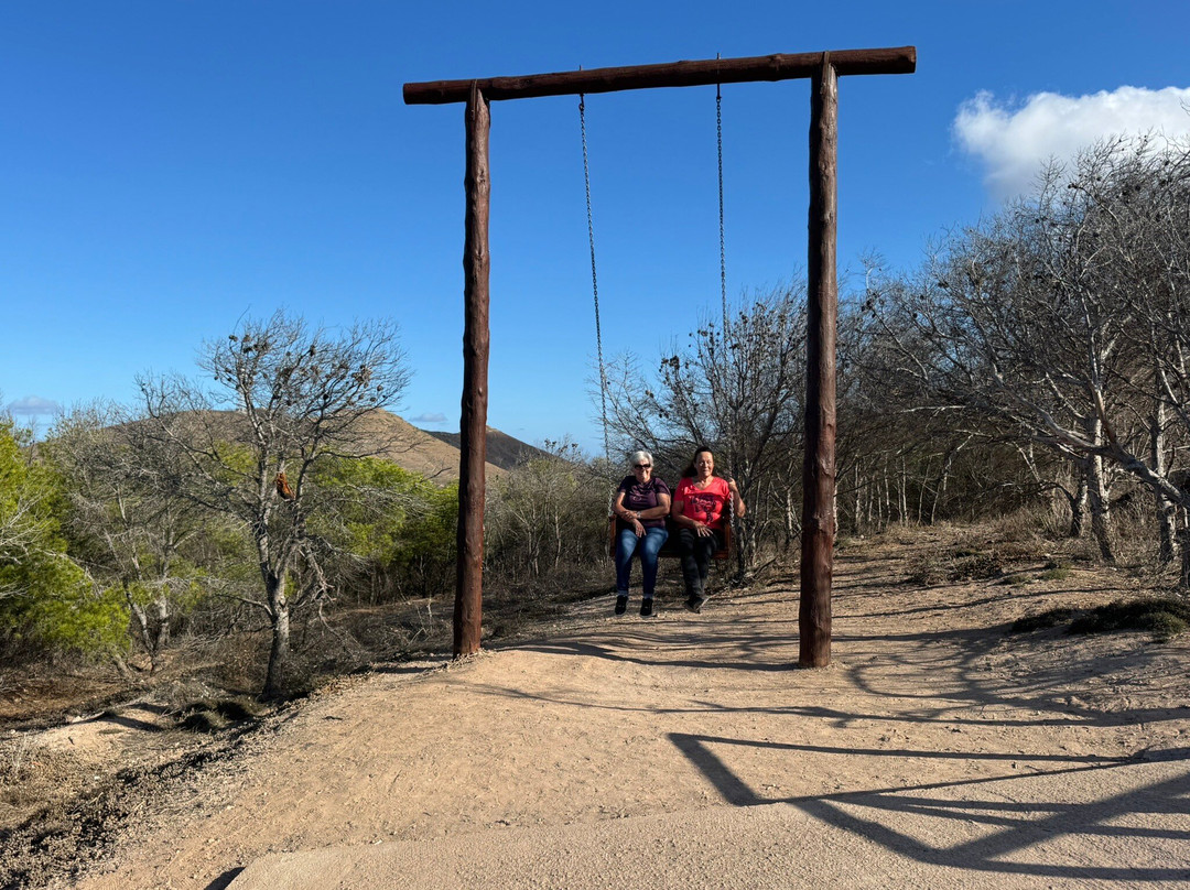 Bravelanders-沙尔必去景点