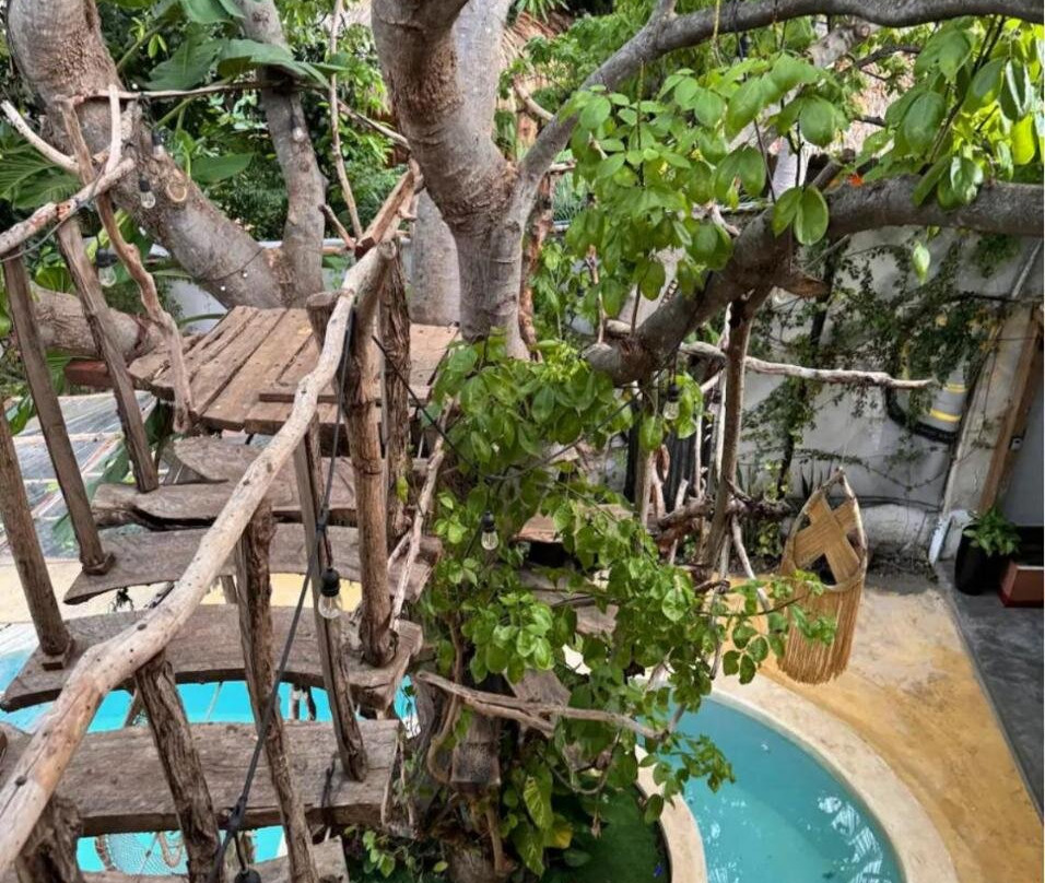 The Pool Treehouse Hotel