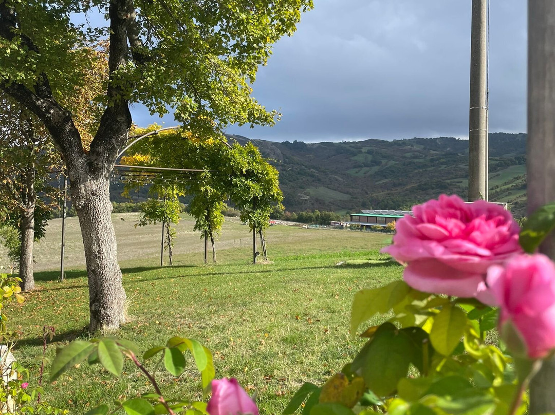 Agriturismo Prato degli Angeli主图