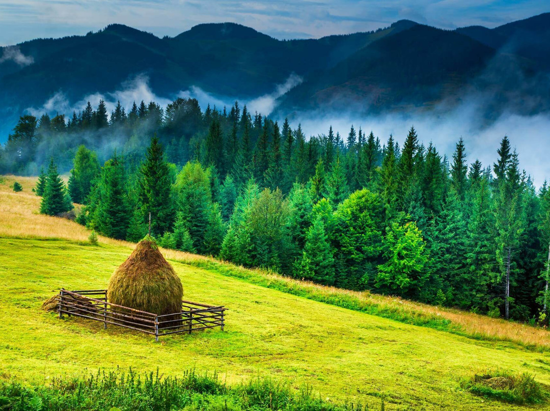 Explore Bucovina-Suceava必去景点