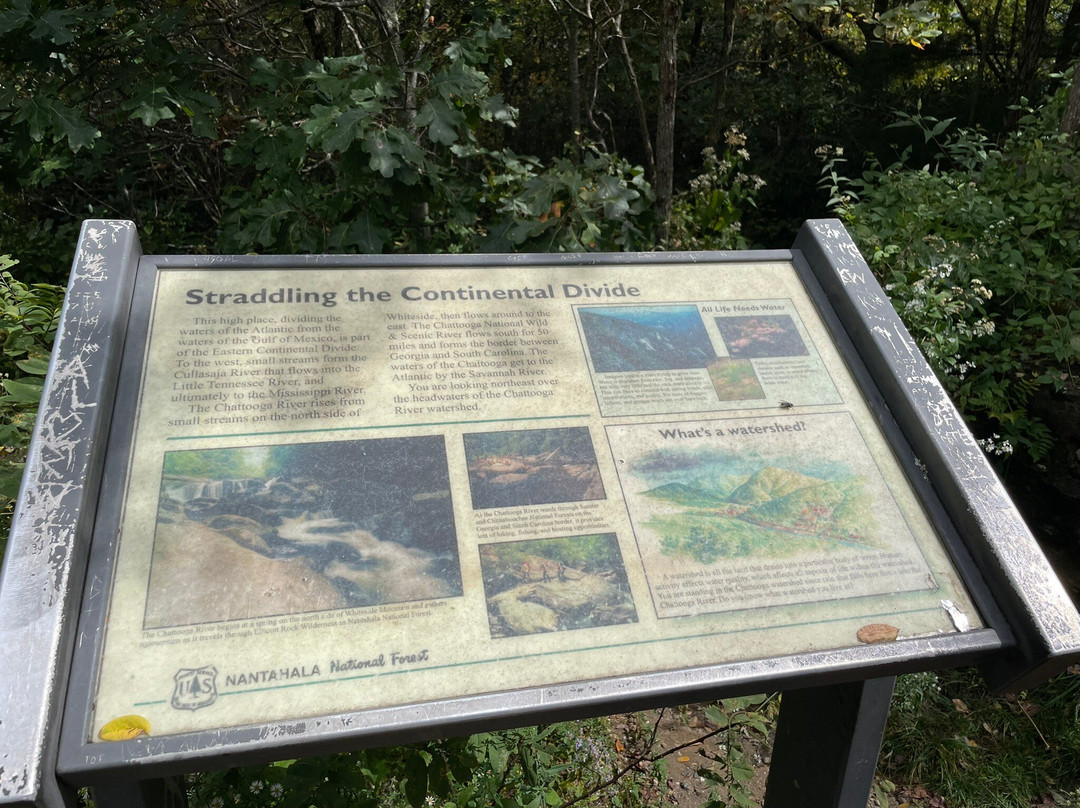 Whiteside Mountain Trail-海兰兹必去景点