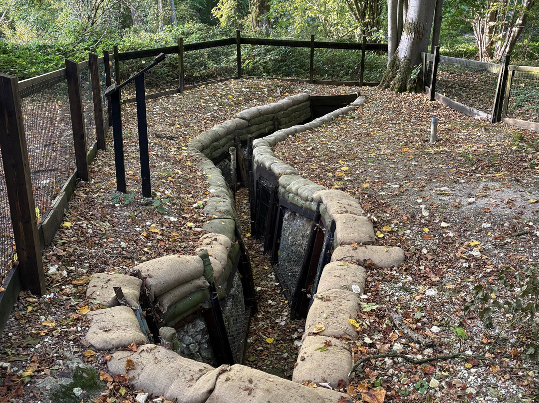 Ulster Memorial Tower & Thiepval Wood-Thiepval必去景点