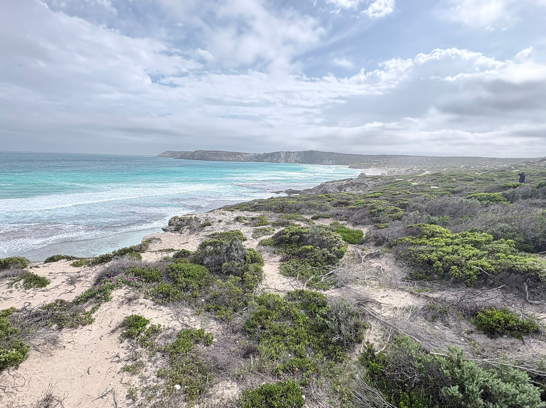 Sightseeing Tours Australia-墨尔本必去景点