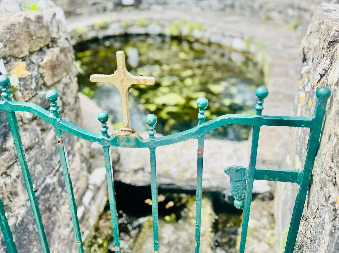 St. Patrick's Well-Clonmel必去景点