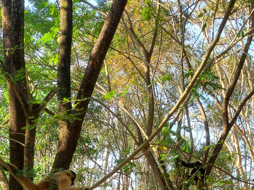 Thuy Tien Eco-Lodge主图