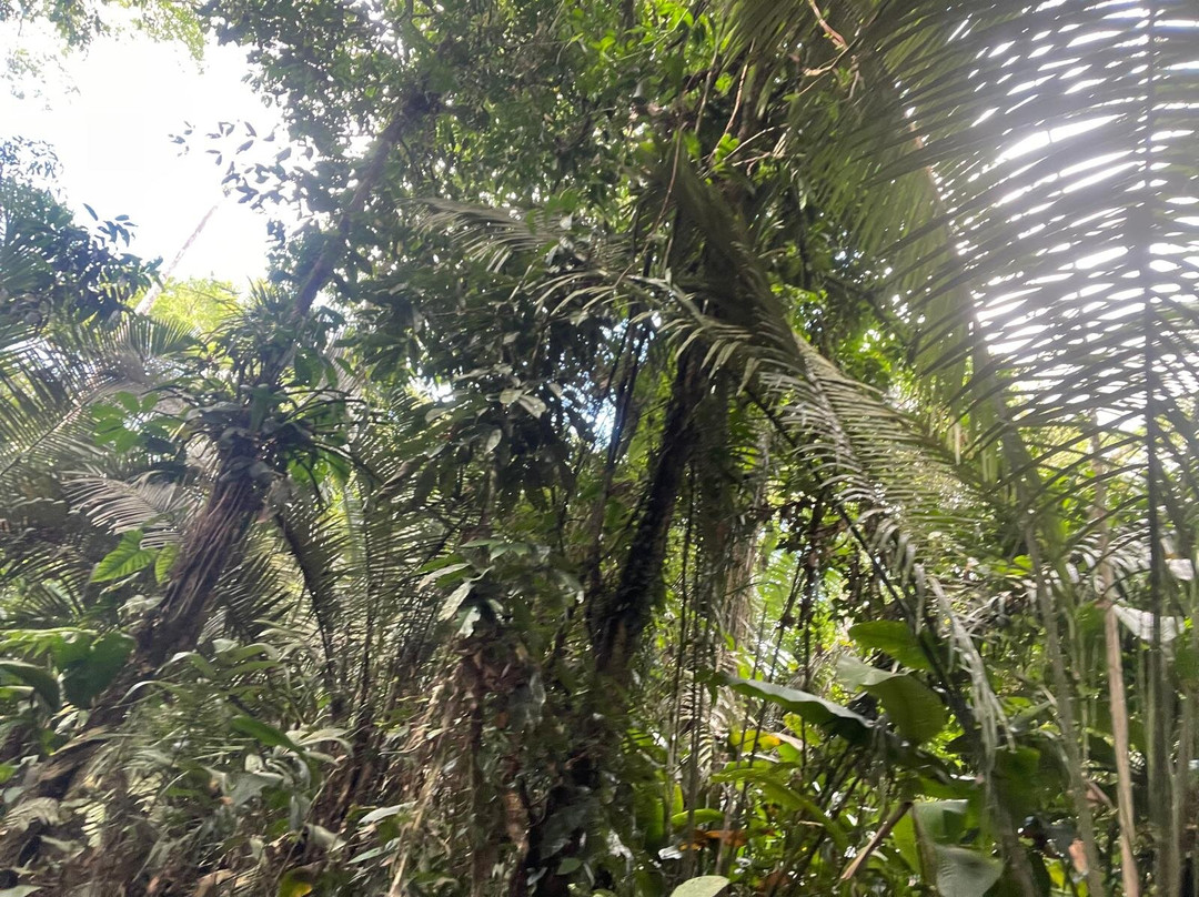 Equator Expeditions-Nayon必去景点