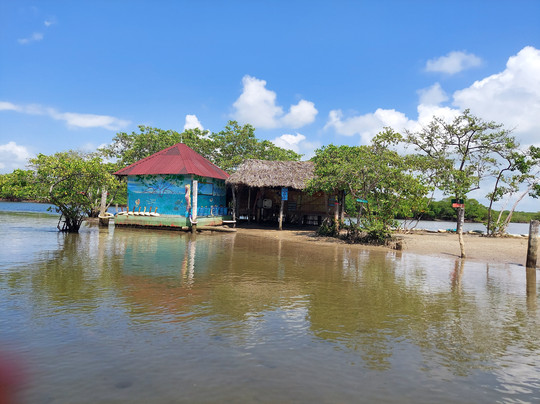 Caju Tour Passeios & Translado-累西腓必去景点