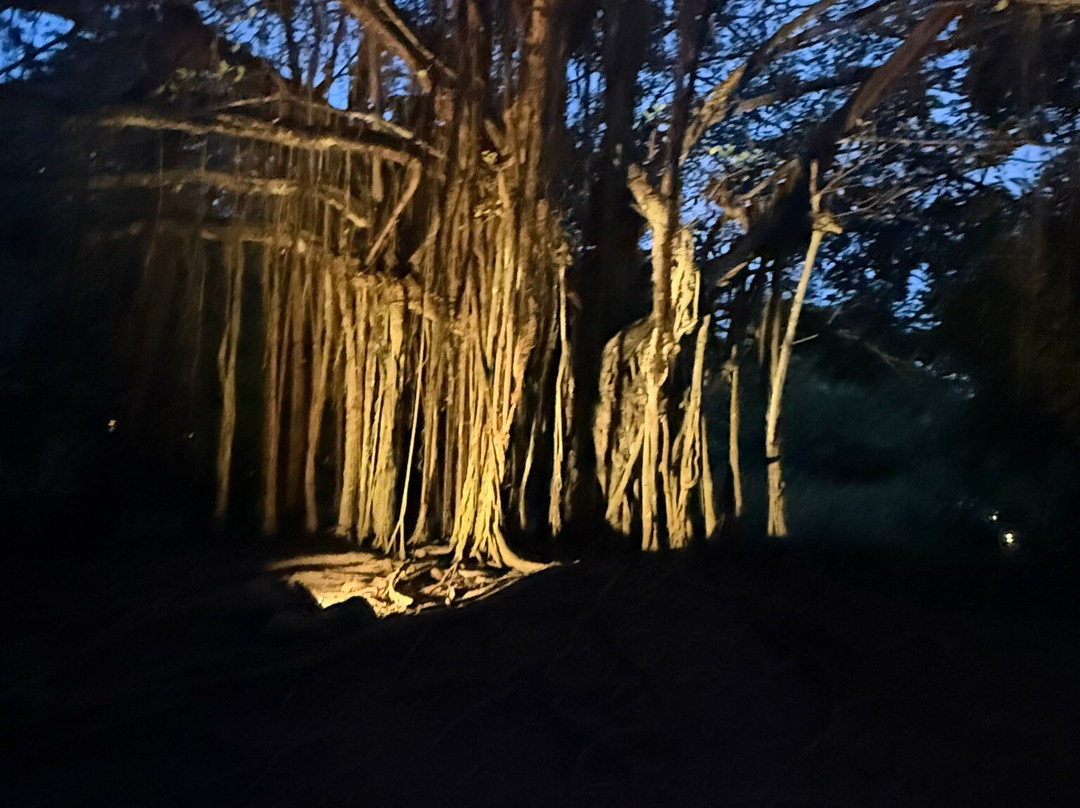 Piko Travel-艾拉杜拉必去景点