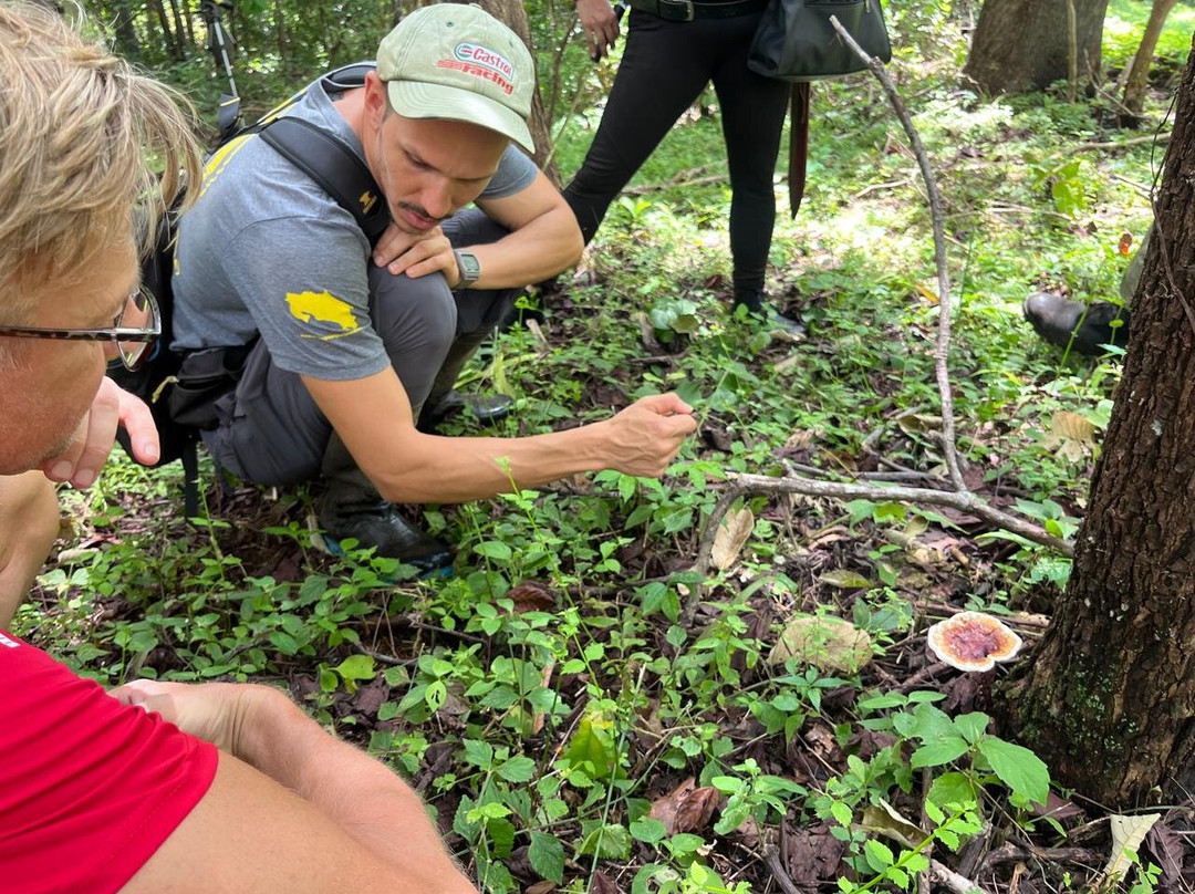Oropopo Experience-Playa Avellanas必去景点