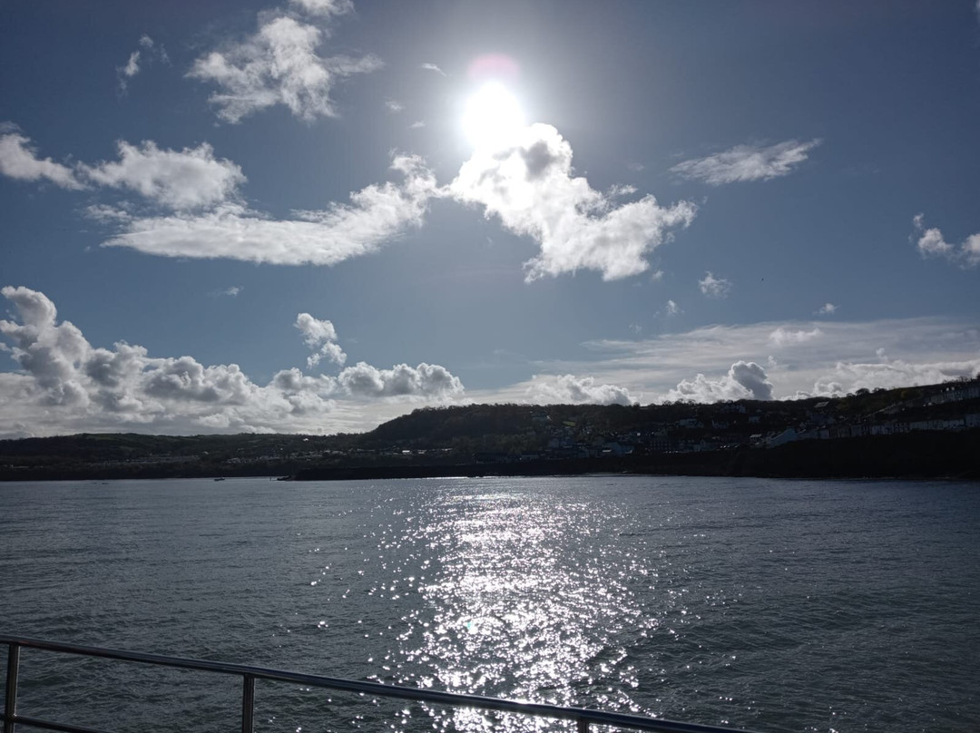 Dolphin Spotting Boat Trips (by New Quay Boat Trips)-纽基必去景点