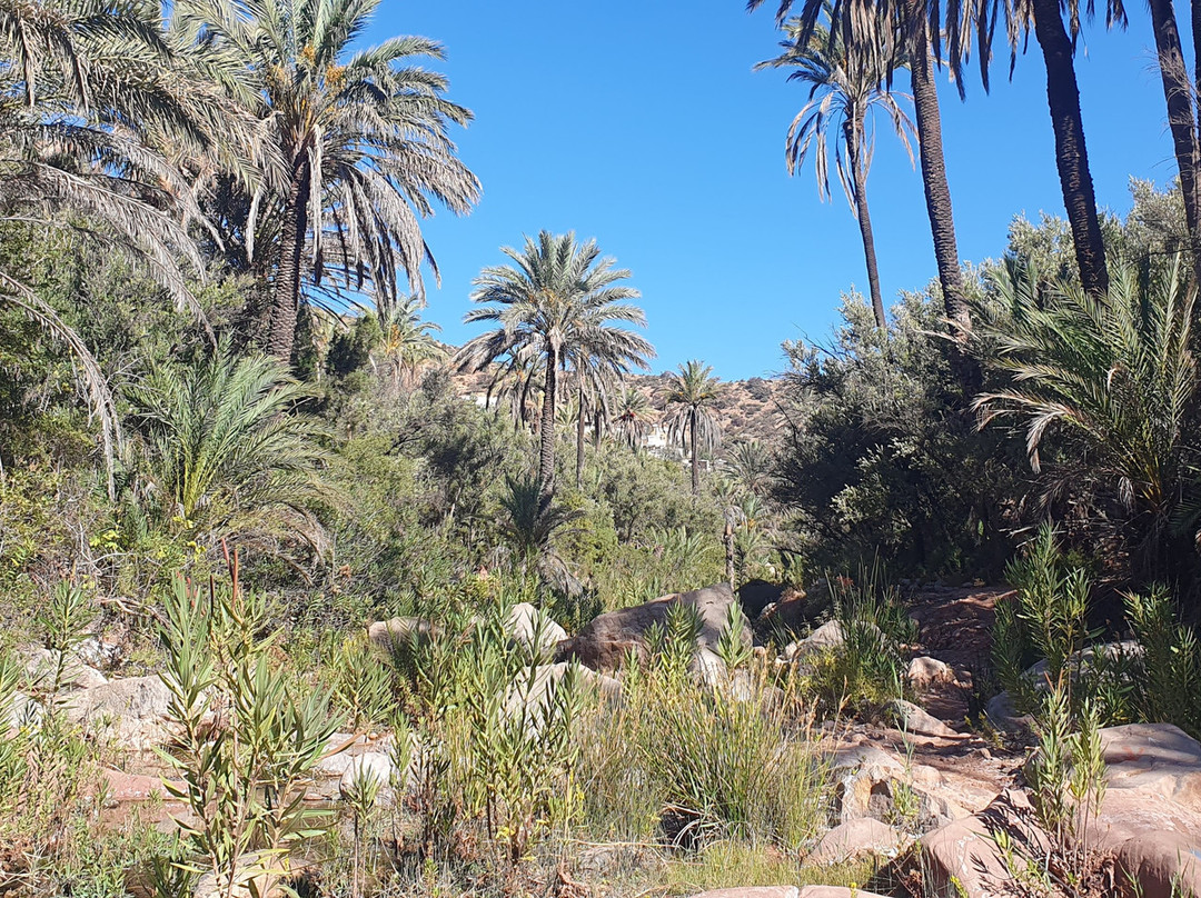 Paradise Valley Agadir-阿加迪尔必去景点