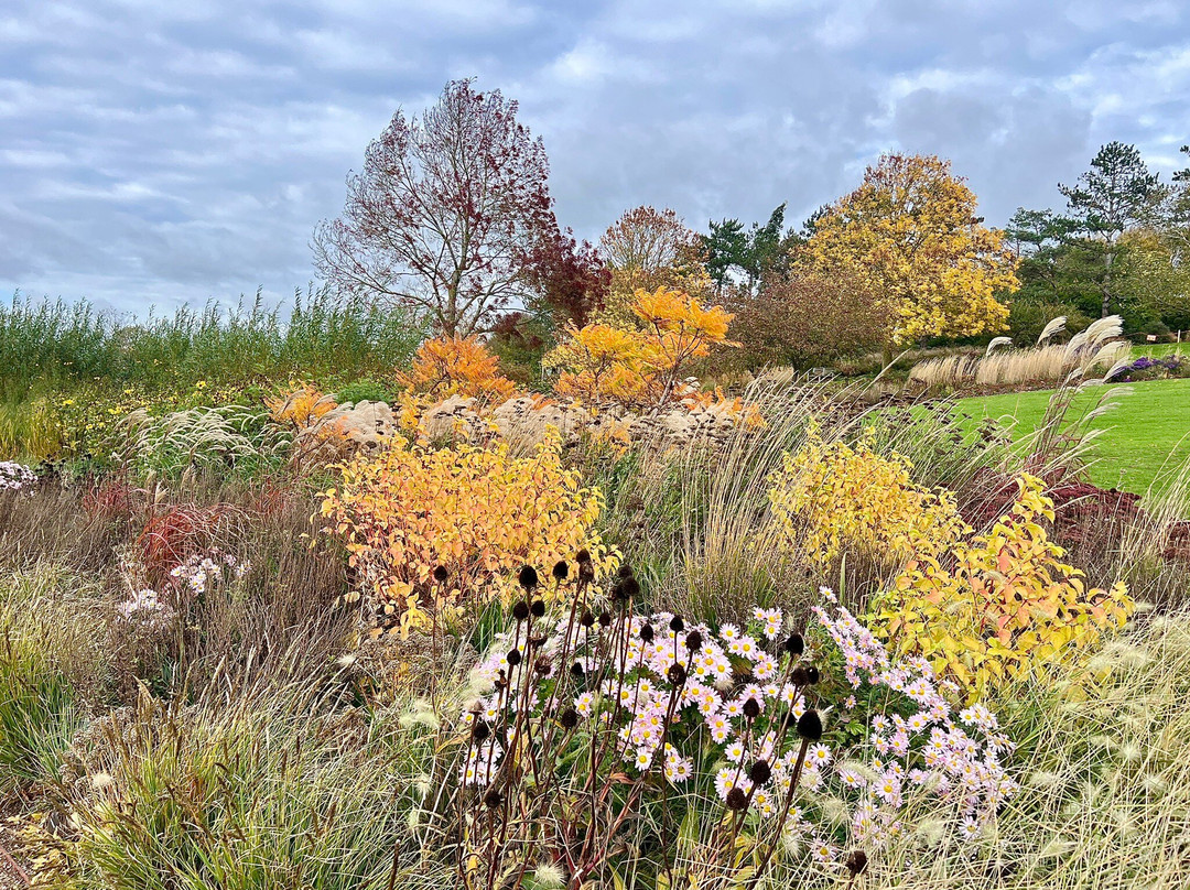 RHS Garden Hyde Hall-切姆斯福德必去景点