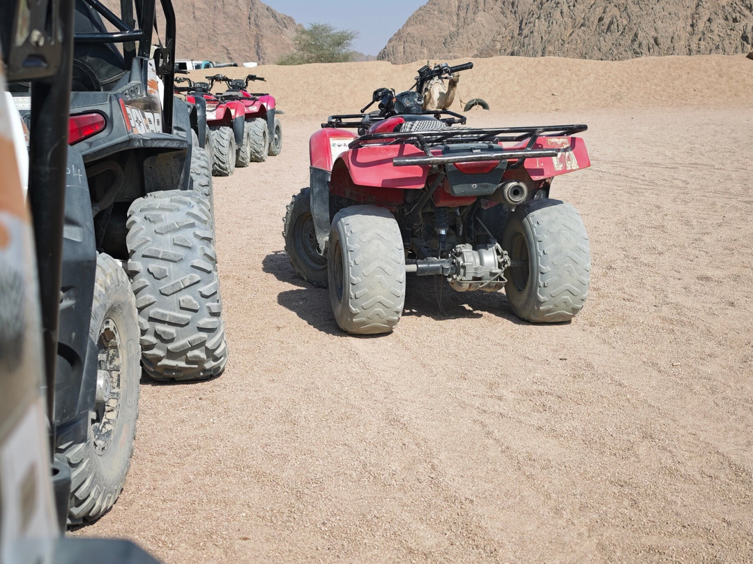 El Sherif Safari-沙姆沙伊赫必去景点