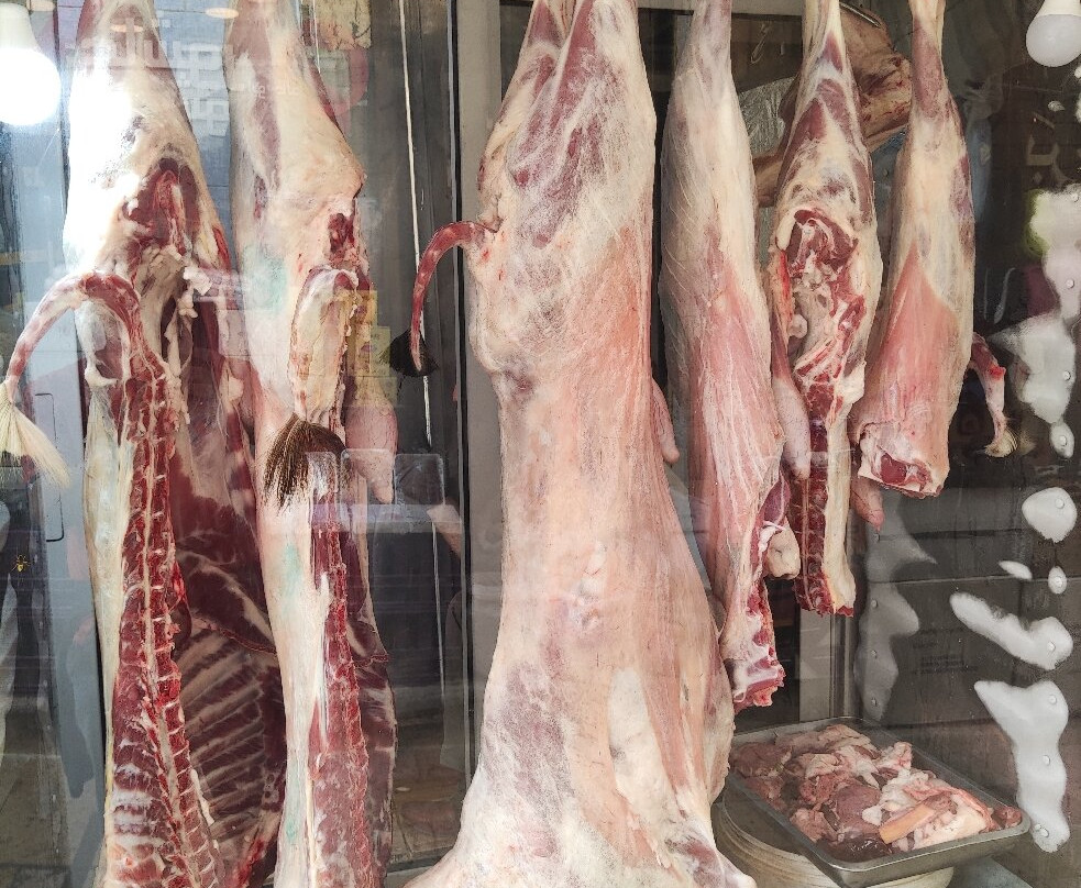 Abu Jaber Museum-Al Salt必去景点