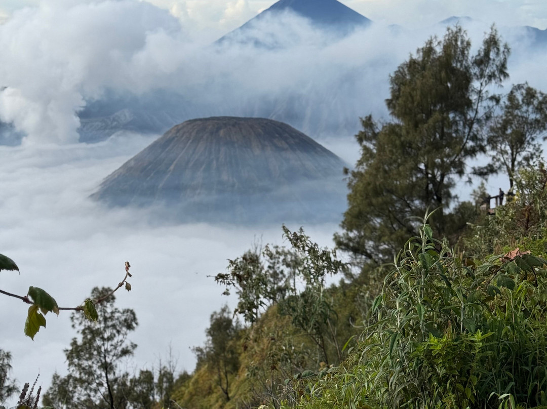 Private Driver Surabaya - Day Tours And Travel Guide-泗水必去景点