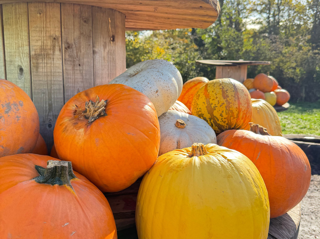 Ty Poeth Farm & Shop-Pontypool必去景点