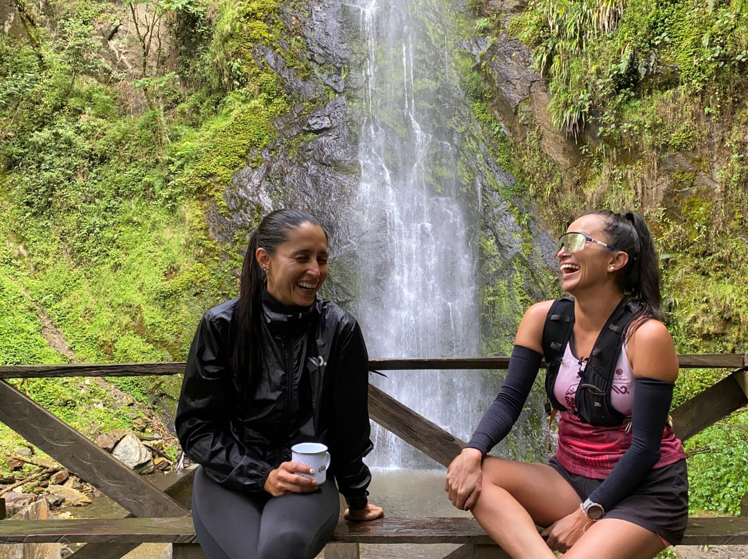 Tours guiados por el Quindío