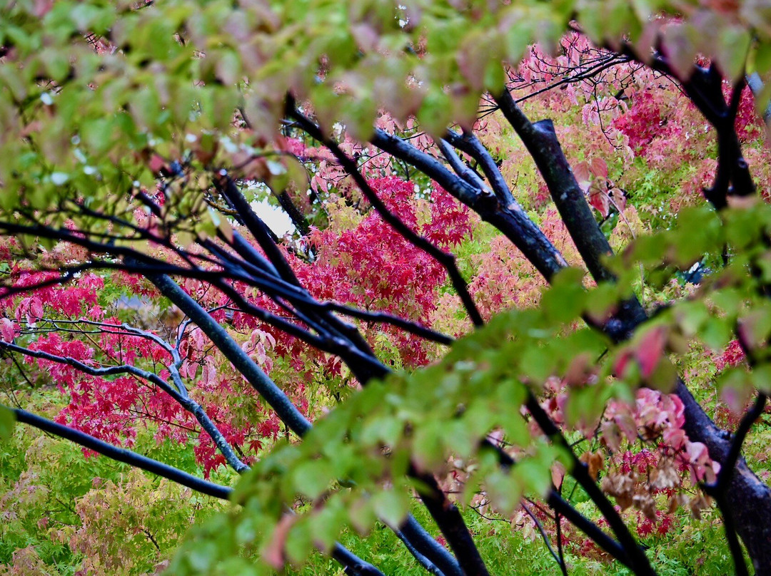 Yohashira Shrine-松本市必去景点