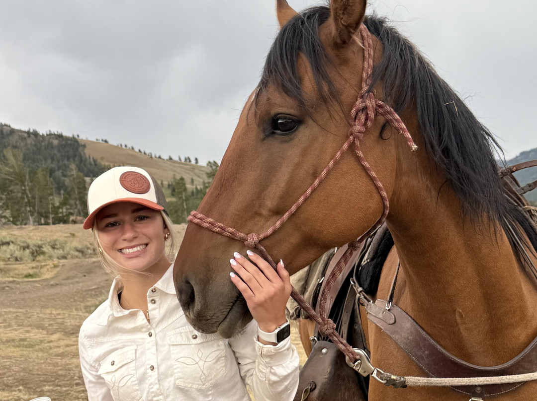 Skyline Guest Ranch and Guide Service主图