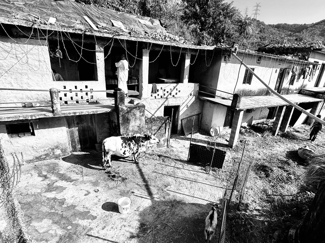 Rishikesh Day Tour-里希克虚必去景点