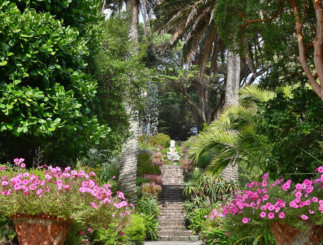 Tresco Abbey Garden & Valhalla Collection-Tresco必去景点