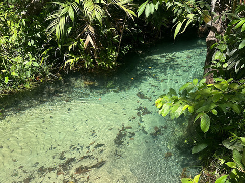 Norte Expedições-Ponte Alta do Tocantins必去景点