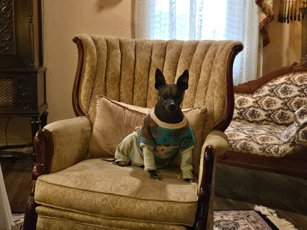 Historic Eureka Inn主图