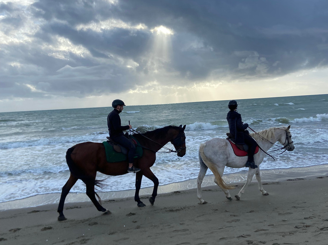 Cavallo Natura-Marina di Grosseto必去景点