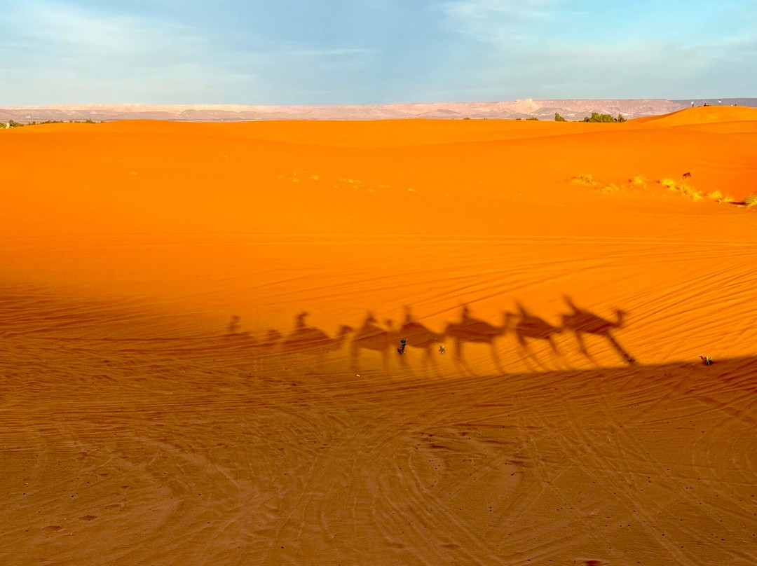 Mountain Desert Tours-马拉喀什必去景点