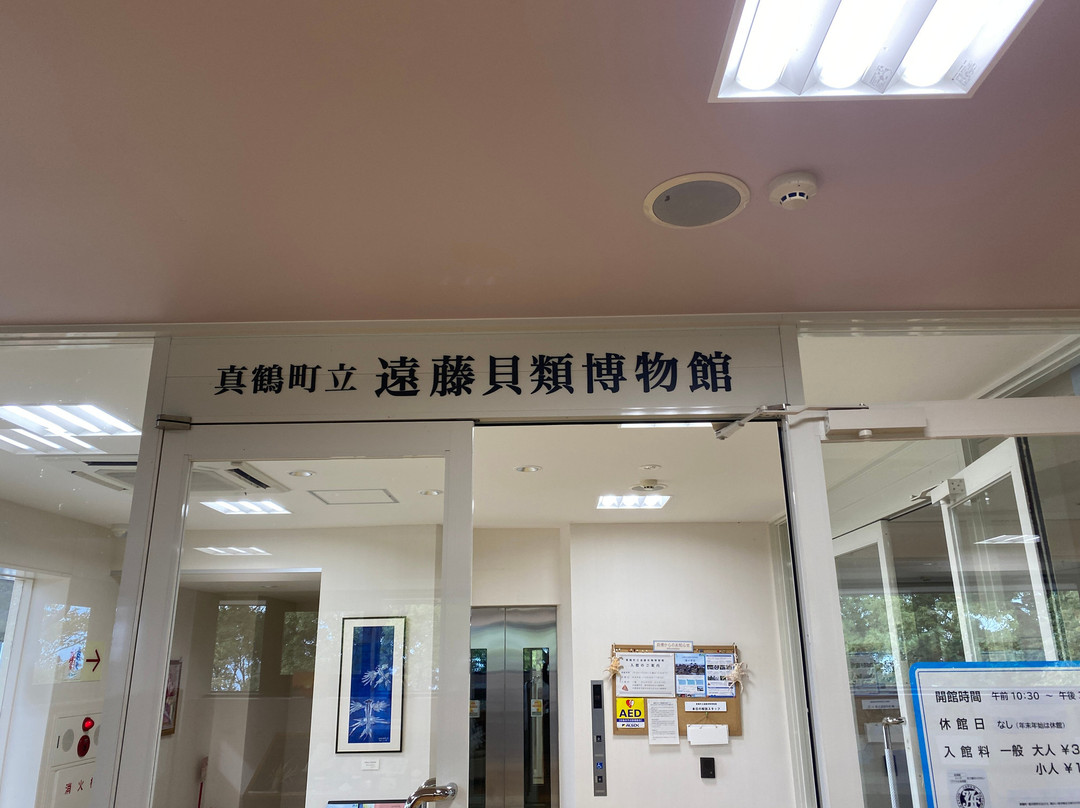 Manazuru Shell Museum-真鹤町必去景点