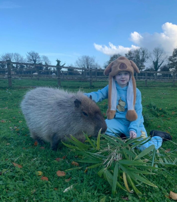 Secret Valley Wildlife Park-韦克斯福德必去景点