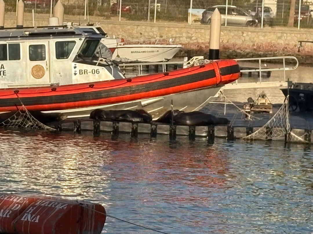 Esperanza's Tours-卡波圣卢卡斯必去景点