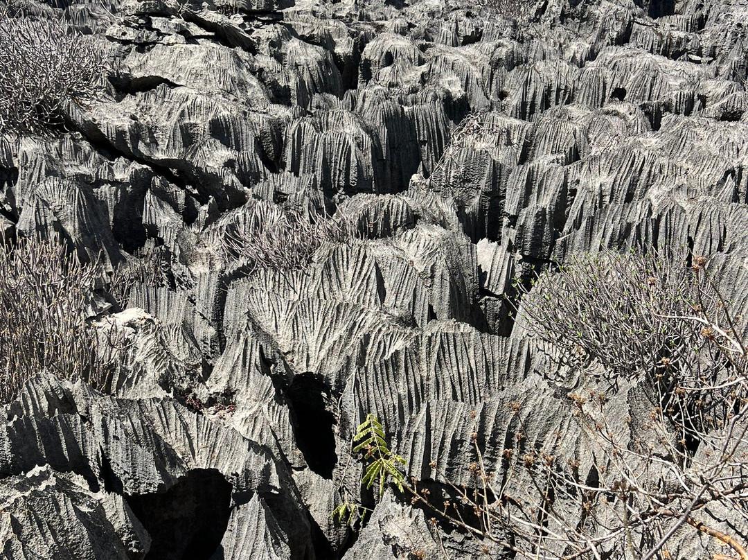 Ankarana Special Reserve-迪亚哥苏亚瑞必去景点