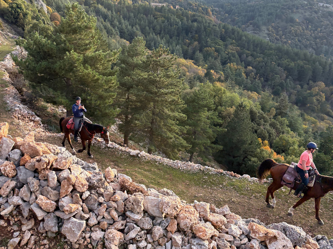 Ride Sicily-切法卢必去景点
