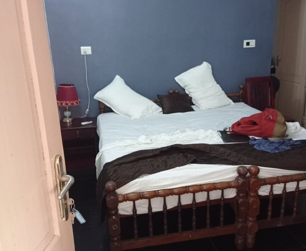 Ideal Ayurvedic Resort主图