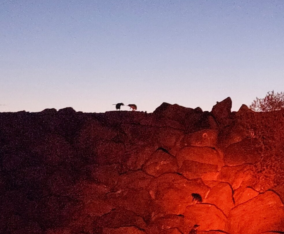 St Kilda Ferry-圣基尔达必去景点
