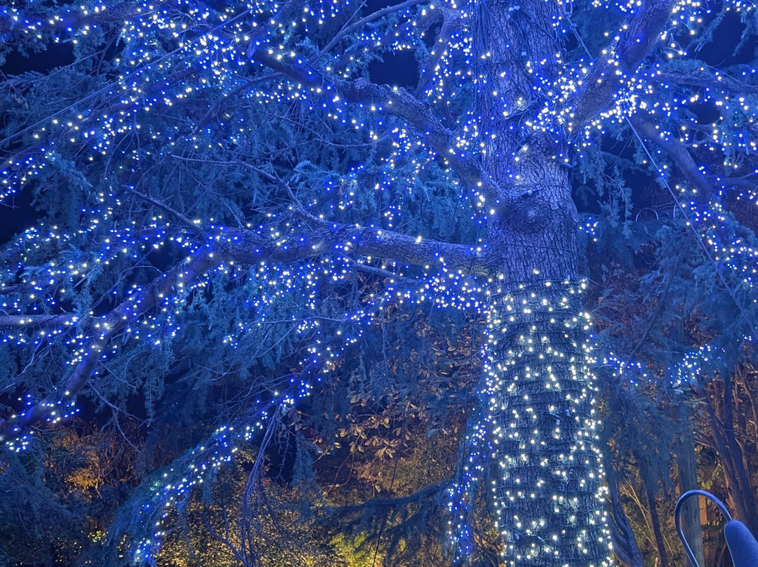 名花之乡-桑名市必去景点