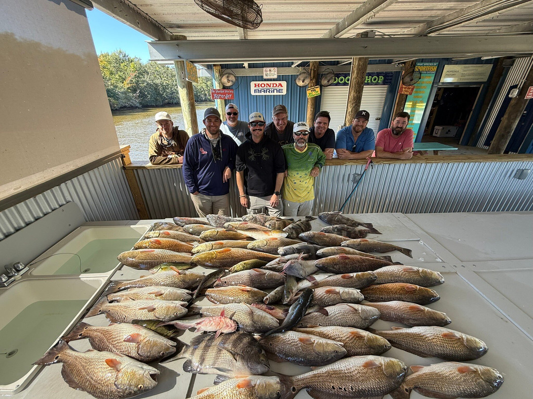 Bayou Charters-Saint Bernard必去景点