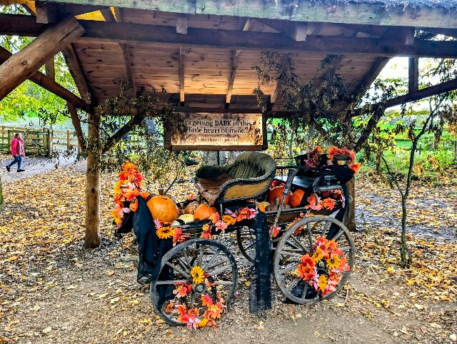 Mother Shipton's Cave-Knaresborough必去景点