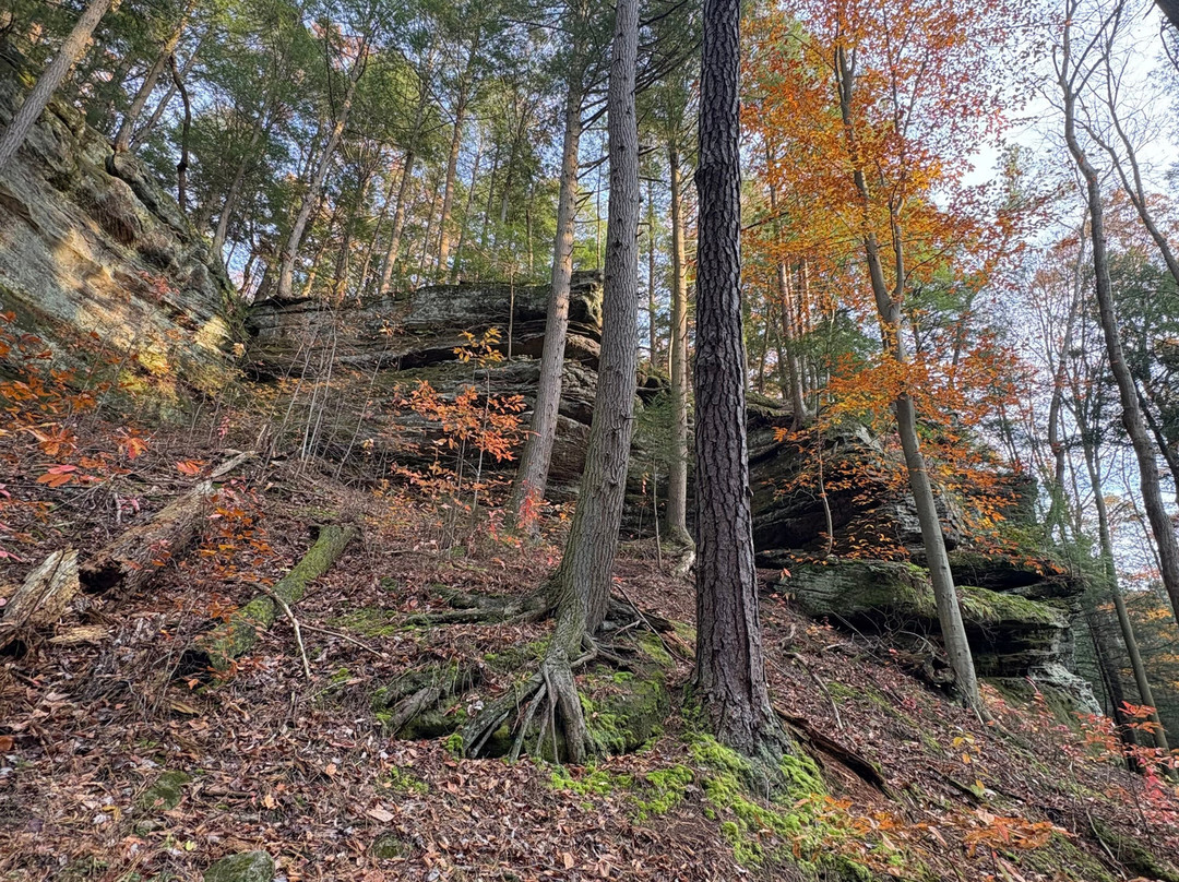 Uncle Buck's Riding Stable-New Marshfield必去景点
