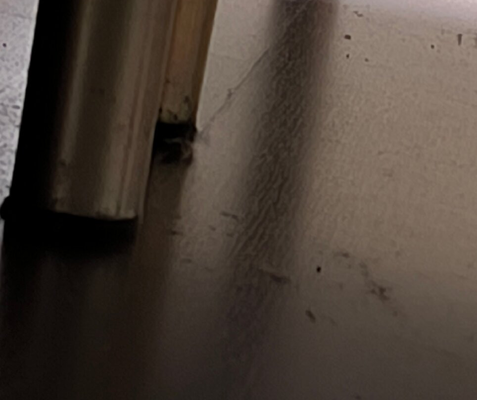 Hotel Iberia Plaza Mayor主图