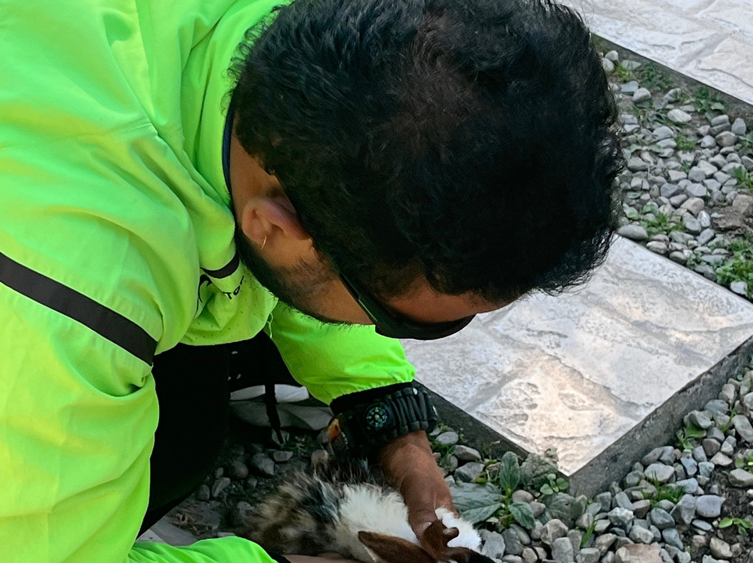 Lansdowne Called Celebration-Lansdowne必去景点