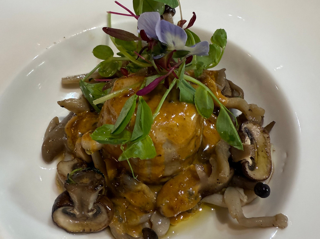 Novelli Academy-Tea Green必去景点