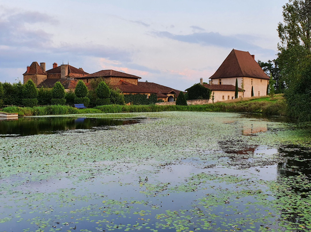 Charlieu酒店住宿-Manoir de Malfarat