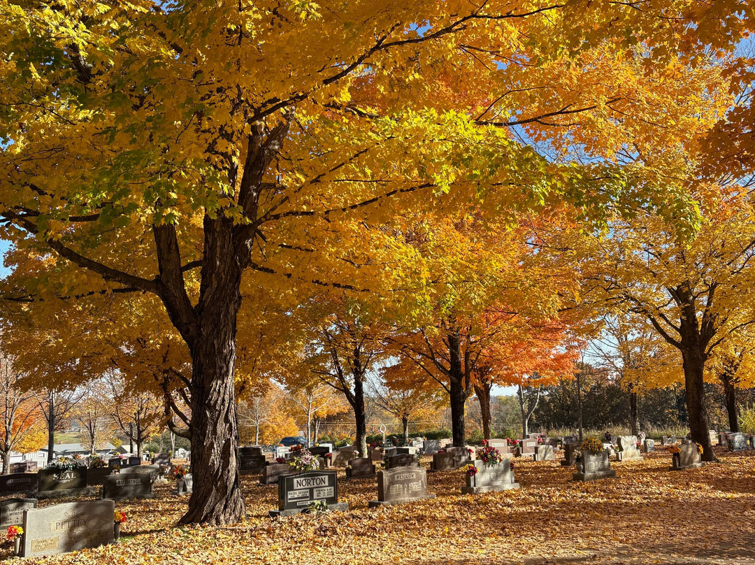 Maplewood Cemetery-Harrison必去景点