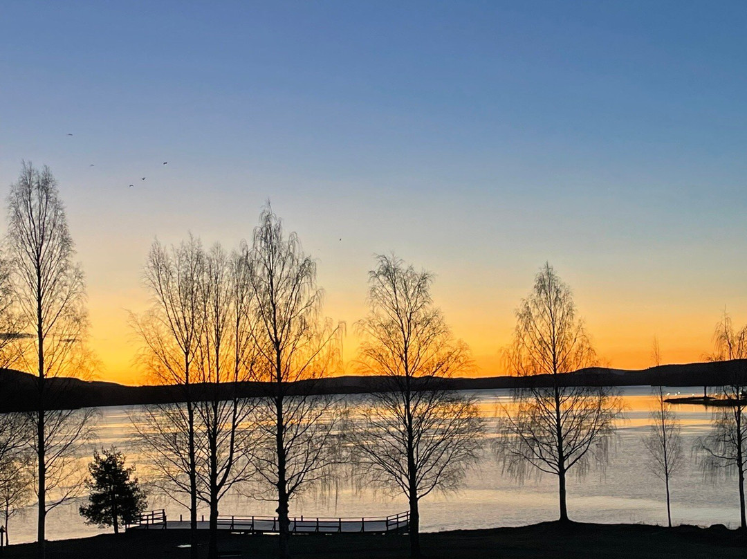 Scandic Bollnas主图