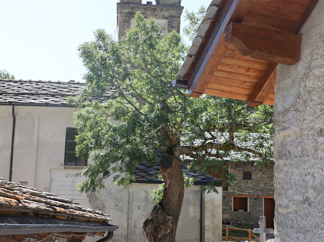 Chiesa San Giorgio-Moncenisio必去景点