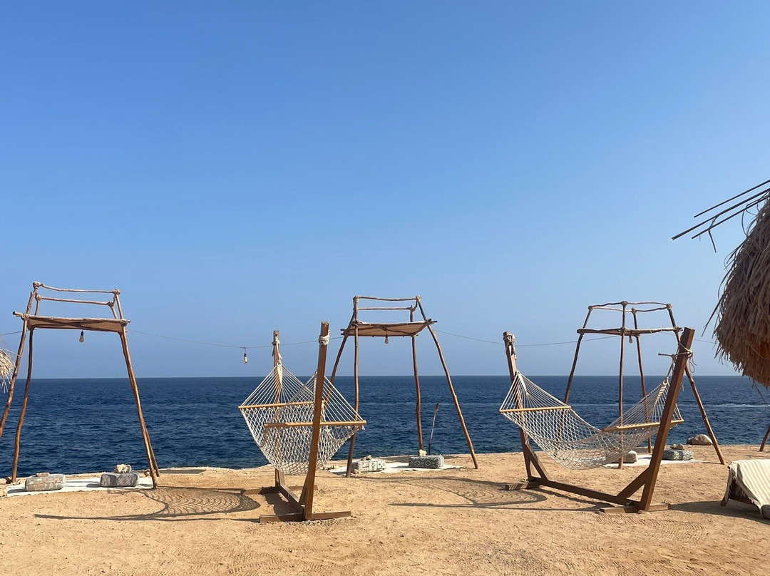 Sheikh Coast Diving Center-沙姆沙伊赫必去景点